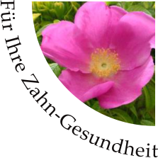 Fr Ihre Zahn-Gesundheit