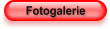 Fotogalerie